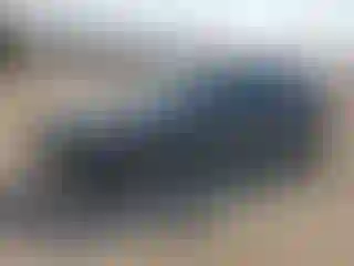 Vehicle Image- 2019 Honda Civic