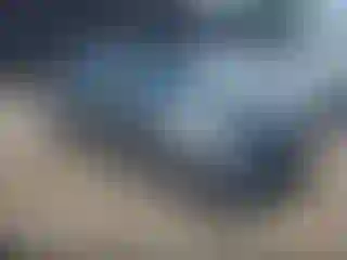 Vehicle Image- 2021 Honda Civic