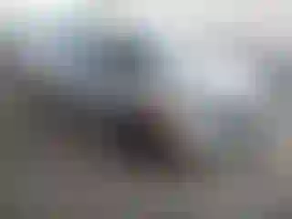 Vehicle Image- 2021 Honda Civic