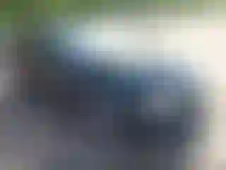 Vehicle Image- 2020 Honda Civic