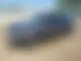 Vehicle Image- 2017 Honda Civic