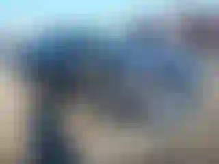 Vehicle Image- 2017 Honda Civic