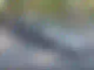 Vehicle Image- 2016 Honda Civic