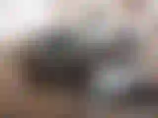 Vehicle Image- 2017 Honda Civic