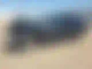 Vehicle Image- 2016 Honda Civic