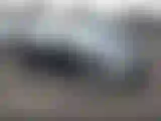 Vehicle Image- 2016 Honda Civic