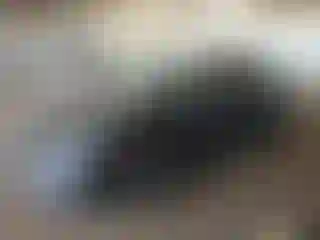 Vehicle Image- 2019 Honda Civic