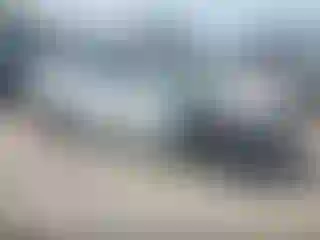 Vehicle Image- 2019 Honda Civic