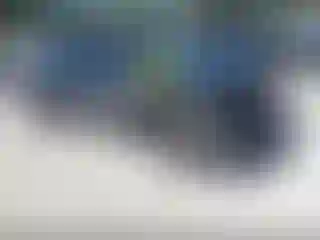 Vehicle Image- 2019 Honda Civic