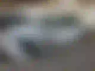 Vehicle Image- 2019 Honda Civic