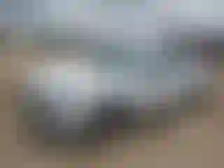 Vehicle Image- 2016 Honda Civic