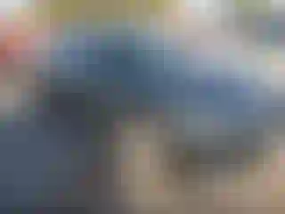 Vehicle Image- 2016 Honda Civic