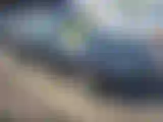 Vehicle Image- 2017 Honda Civic