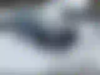 Vehicle Image- 2020 Honda Civic