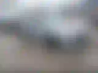 Vehicle Image- 2019 Honda Civic