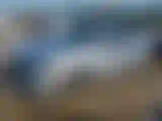Vehicle Image- 2021 Honda Civic