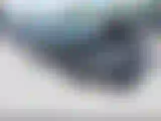 Vehicle Image- 2019 Honda Civic