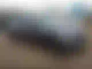 Vehicle Image- 2020 Honda Civic