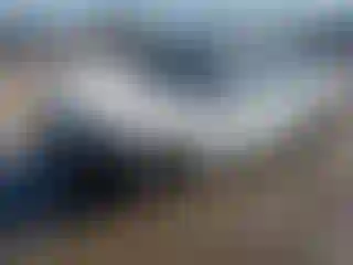 Vehicle Image- 2024 Honda Civic