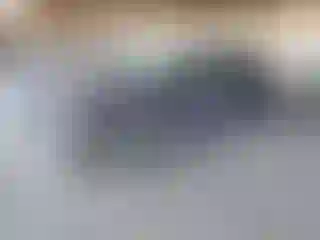 Vehicle Image- 2024 Honda Civic