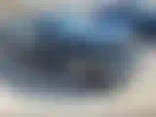 Vehicle Image- 2024 Honda Civic