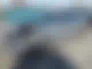 Vehicle Image- 2024 Honda Civic