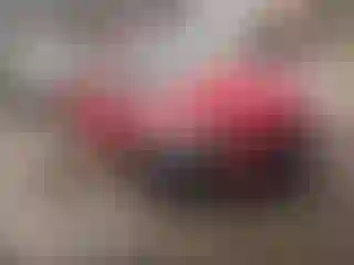 Vehicle Image- 2023 Honda Civic