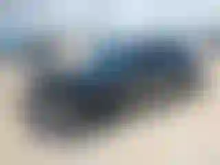 Vehicle Image- 2025 Honda Civic