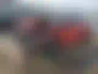 Vehicle Image- 2023 Honda Civic