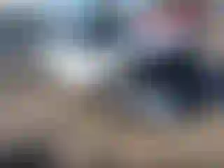 Vehicle Image- 2025 Honda Civic