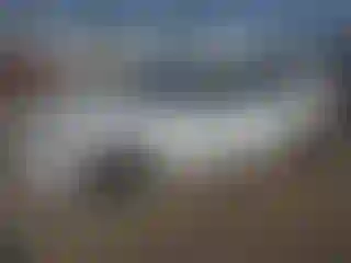 Vehicle Image- 2025 Honda Civic
