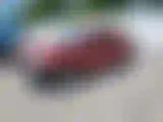 Vehicle Image- 2011 Dodge Avenger