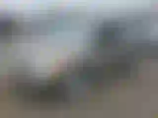 Vehicle Image- 2008 Dodge Caliber