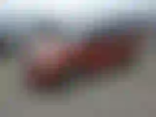 Vehicle Image- 2008 Dodge Caliber