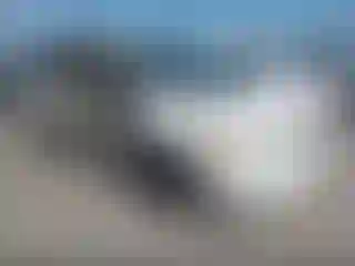 Vehicle Image- 2002 Dodge Caravan