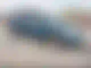 Vehicle Image- 2002 Dodge Caravan