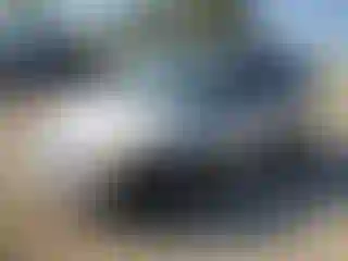 Vehicle Image- 2000 Dodge Caravan