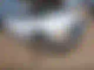 Vehicle Image- 2002 Dodge Durango