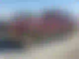 Vehicle Image- 2001 Dodge Durango