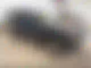 Vehicle Image- 1999 Dodge Durango