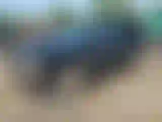 Vehicle Image- 1998 Dodge Durango