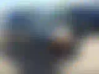 Vehicle Image- 2002 Dodge Durango