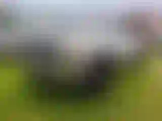 IMPORTOWO.pl
