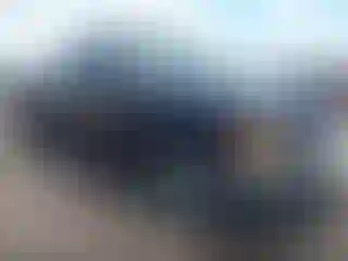 Vehicle Image- 1992 Dodge Dakota
