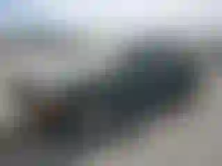 Vehicle Image- 2000 Dodge Dakota