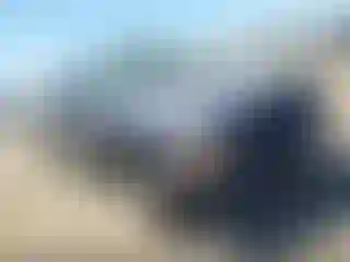Vehicle Image- 2001 Dodge Dakota