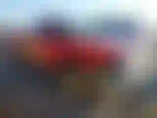Vehicle Image- 1998 Dodge Dakota