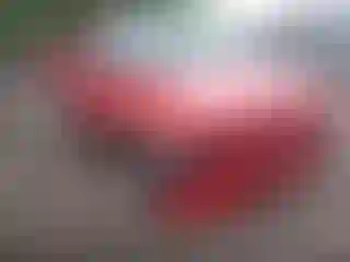 Vehicle Image- 2000 Dodge Dakota