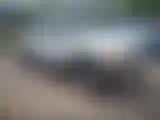 Vehicle Image- 2000 Dodge Dakota