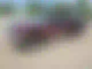 Vehicle Image- 2000 Dodge Dakota